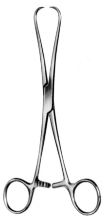 Surgical Instruments