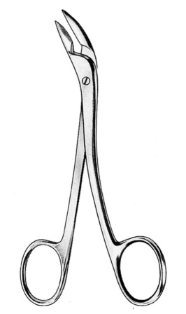 Surgical Instruments