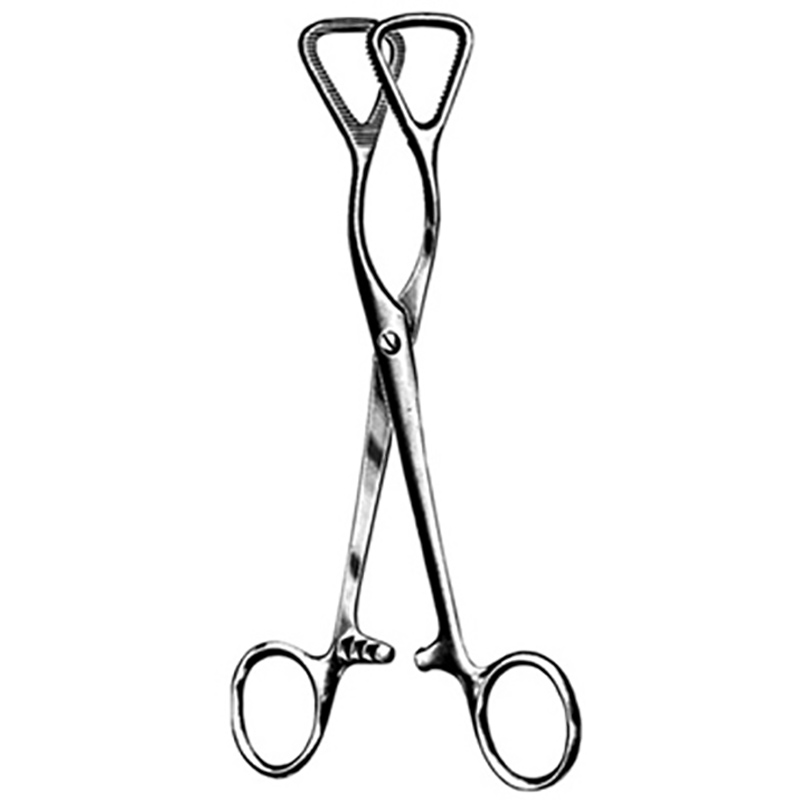 Veterinary Instruments