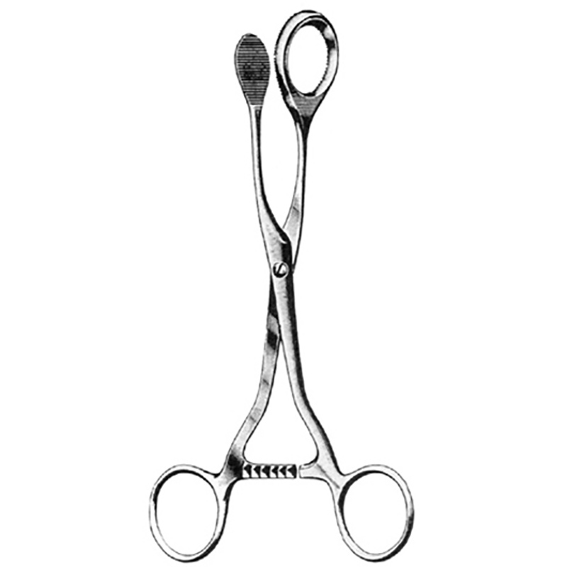 Veterinary Instruments