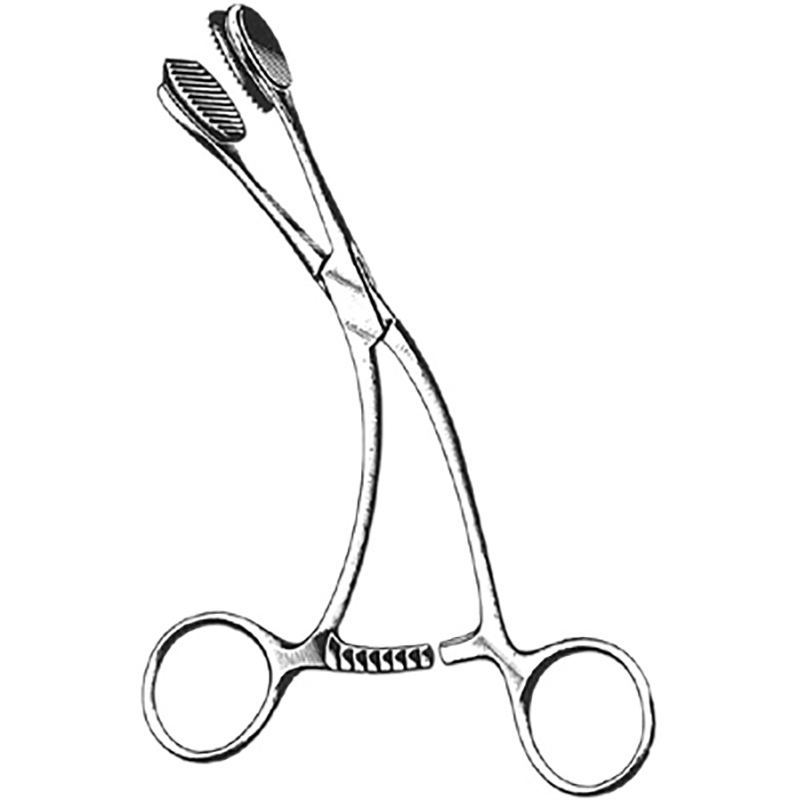 Veterinary Instruments