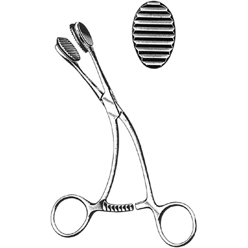 Veterinary Instruments