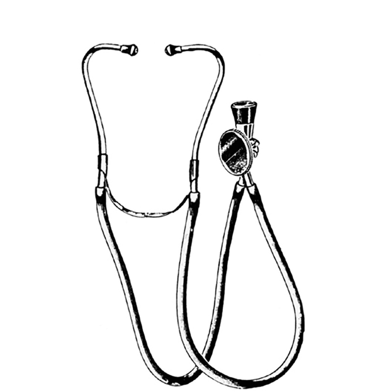 Veterinary Instruments