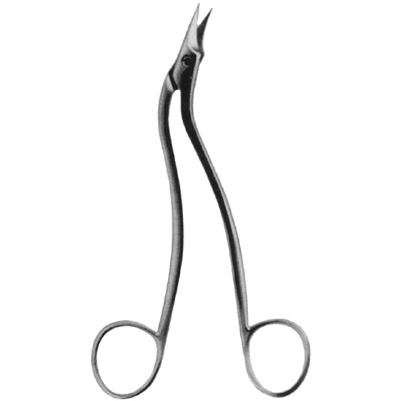 Veterinary Instruments