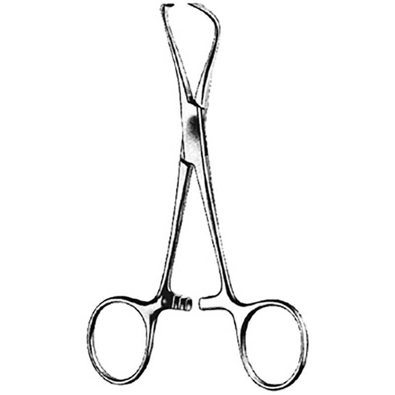 Veterinary Instruments