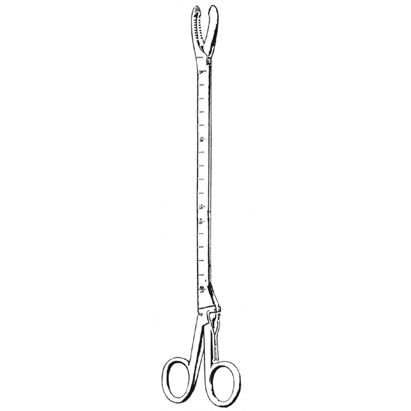 Veterinary Instruments