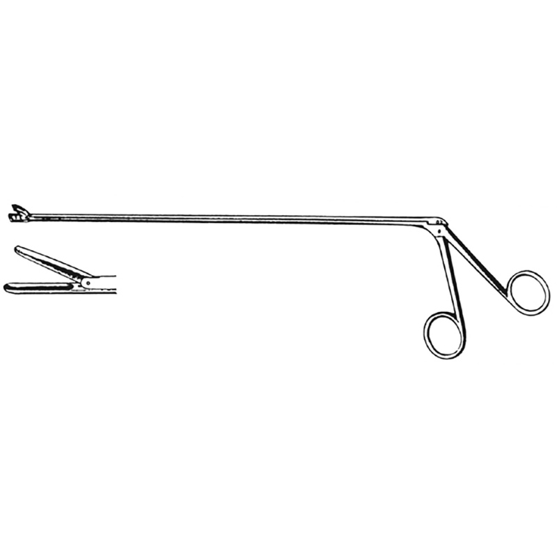 Veterinary Instruments