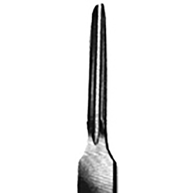 Veterinary Instruments