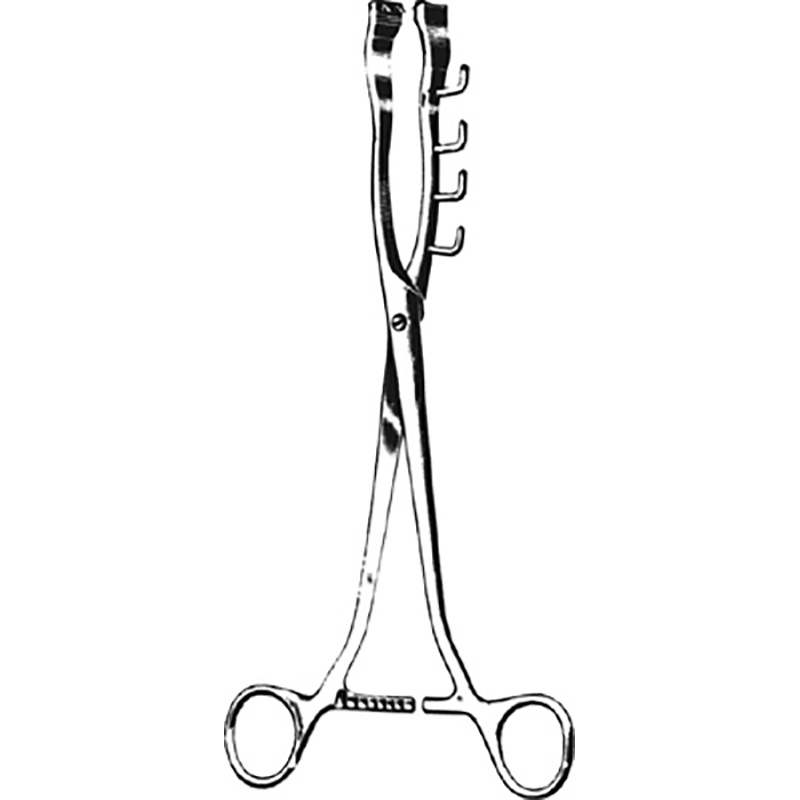 Veterinary Instruments