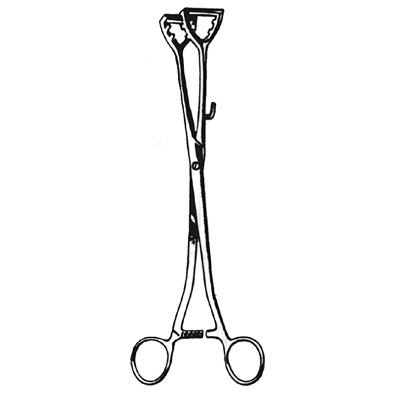 Veterinary Instruments