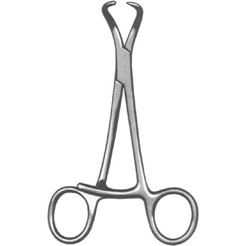 Veterinary Instruments