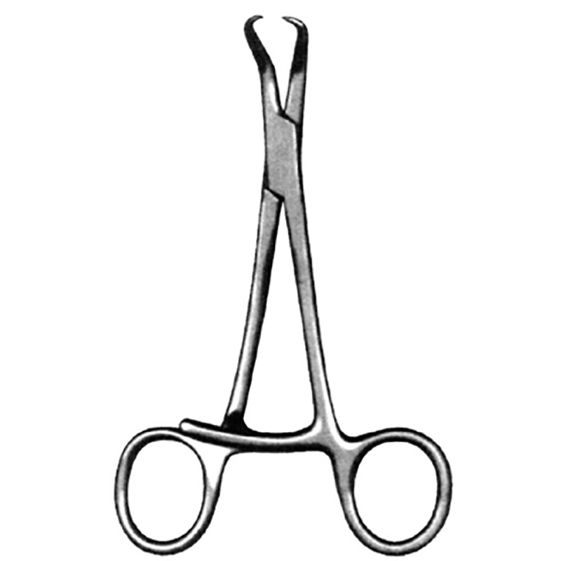 Veterinary Instruments