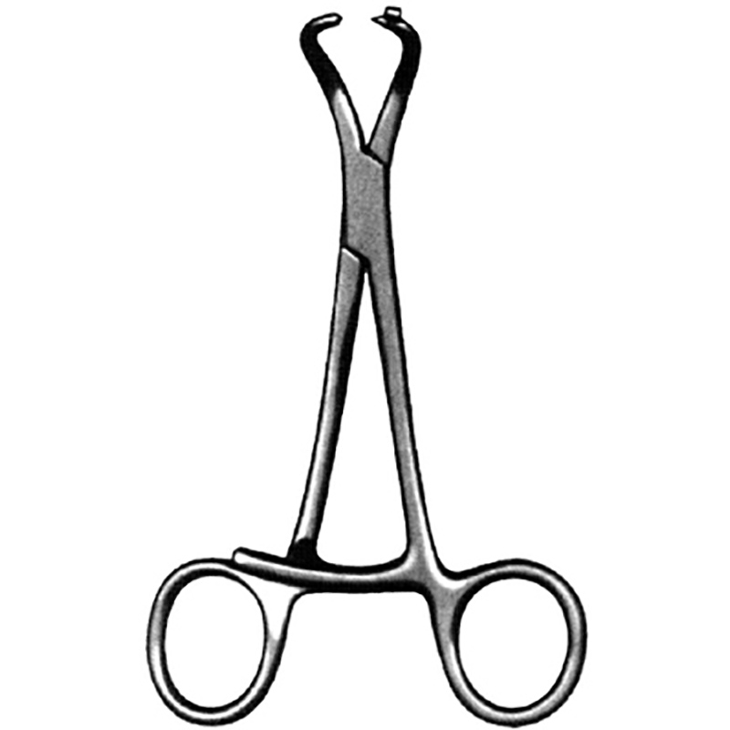 Veterinary Instruments