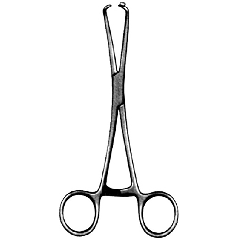 Veterinary Instruments