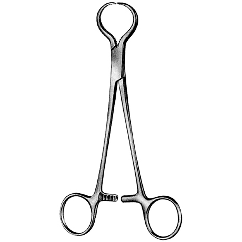 Veterinary Instruments