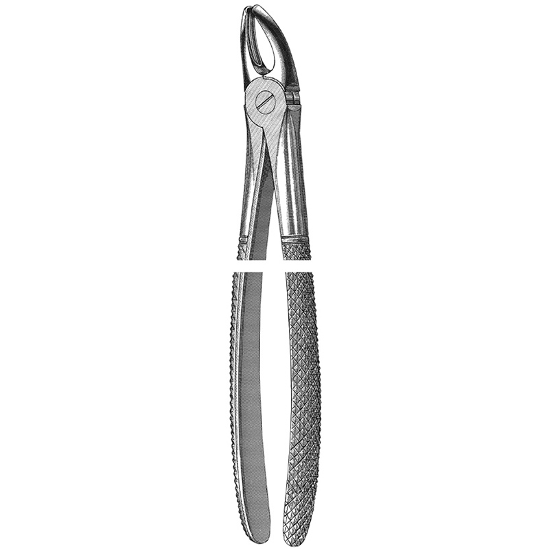 Veterinary Instruments