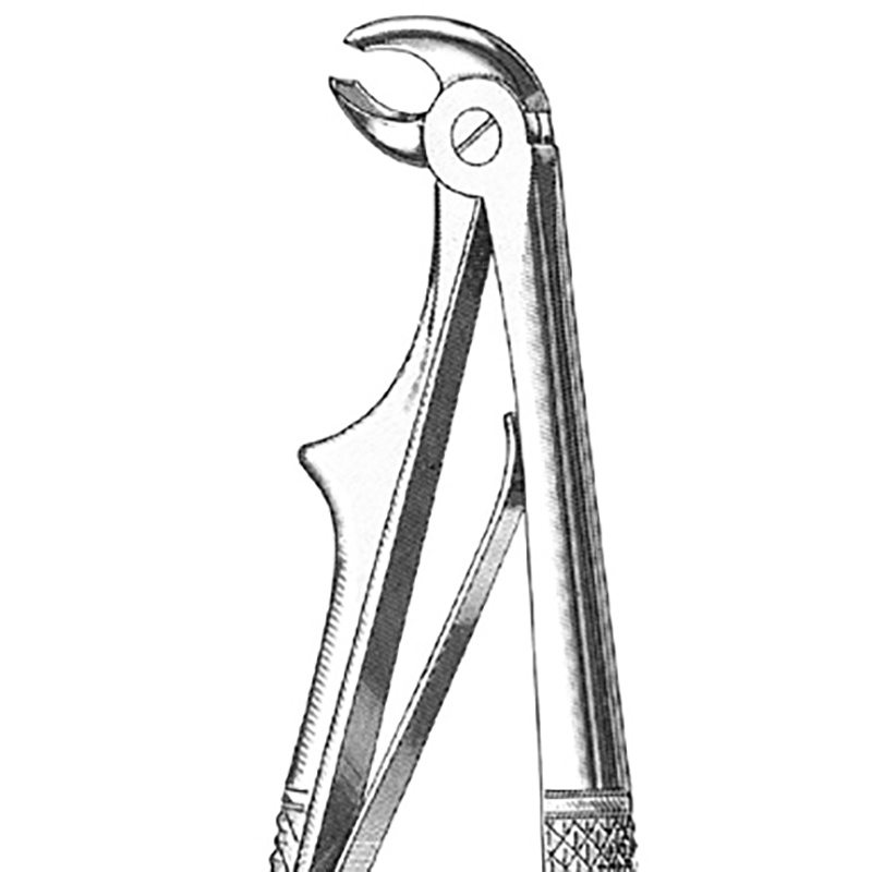 Veterinary Instruments