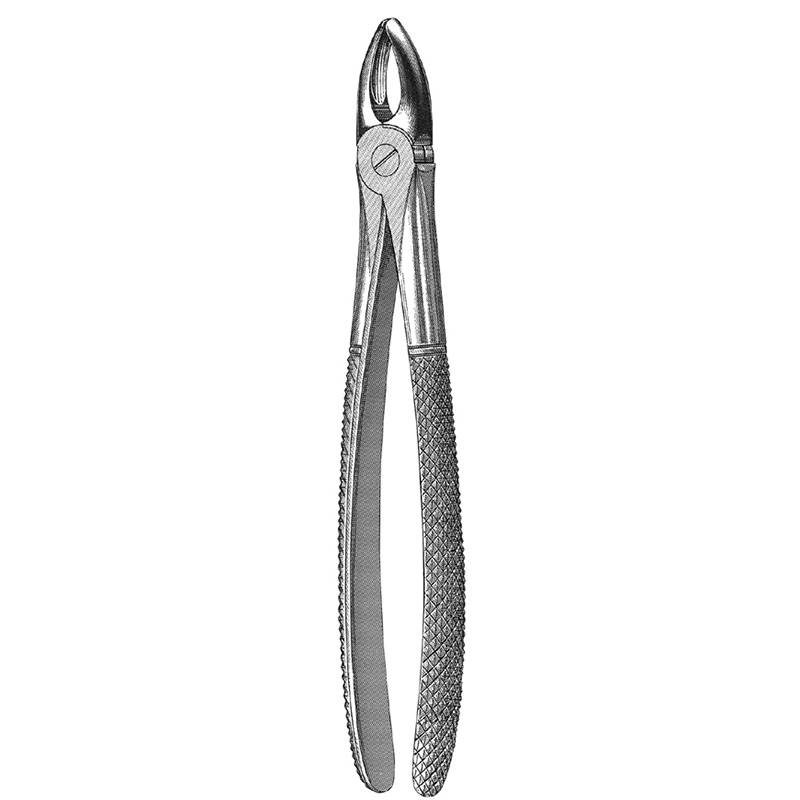 Veterinary Instruments