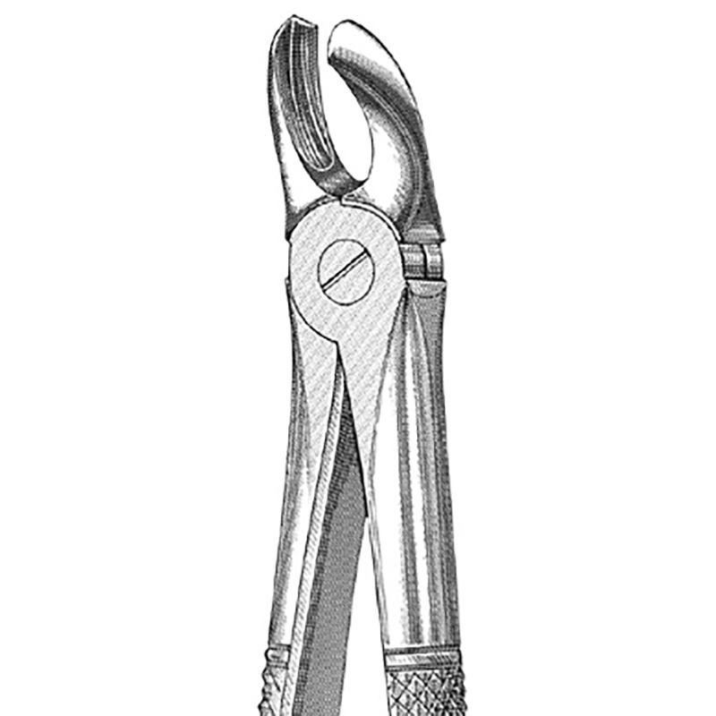 Veterinary Instruments