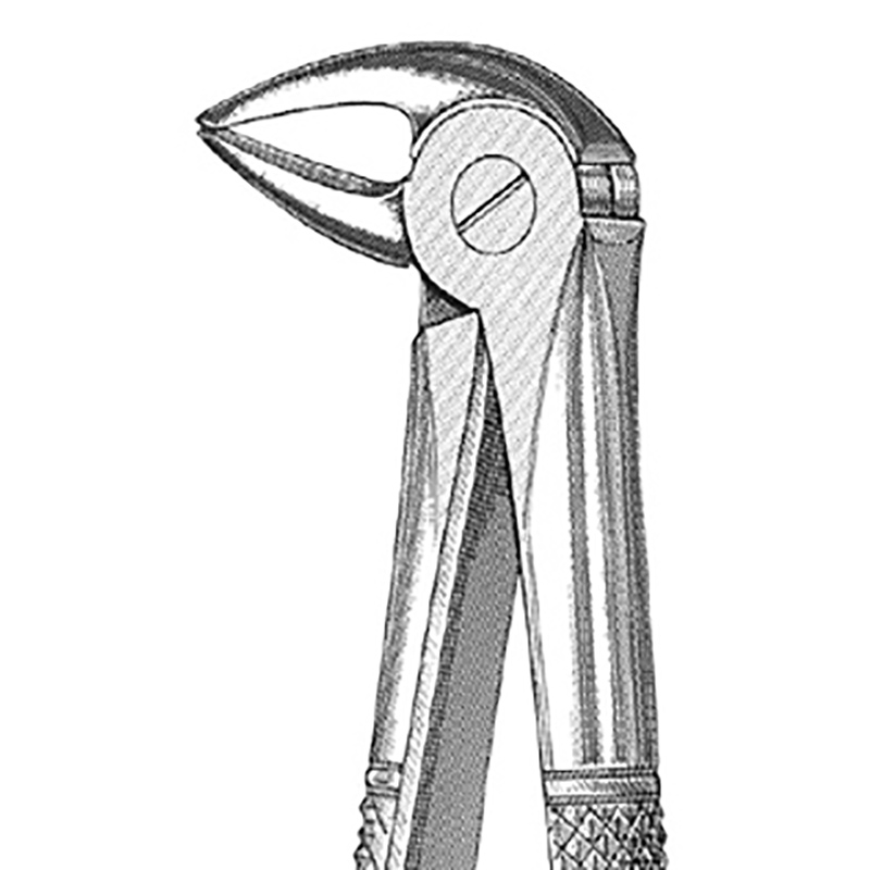 Veterinary Instruments