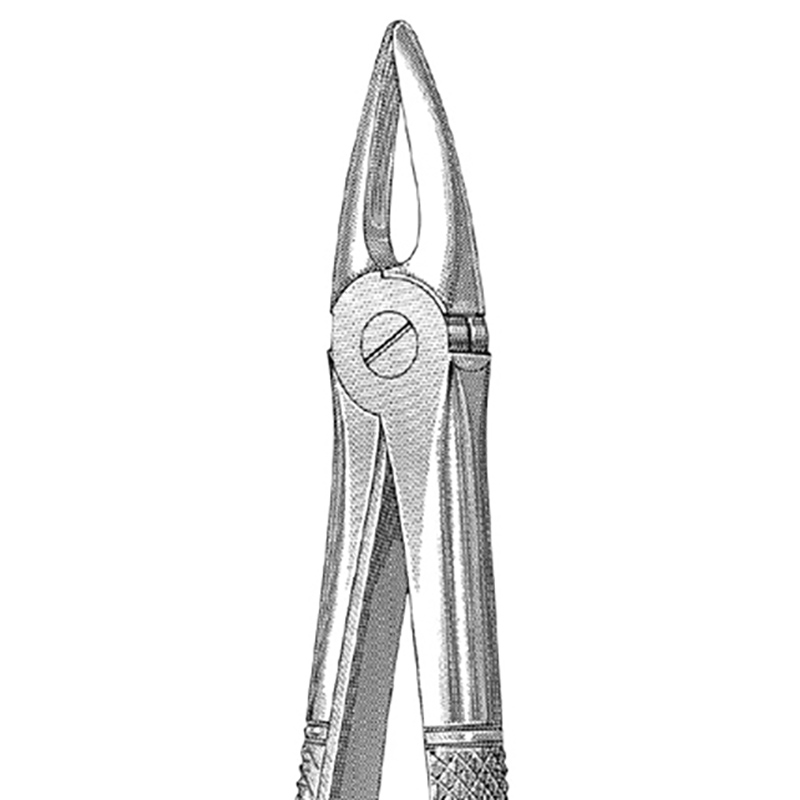 Veterinary Instruments