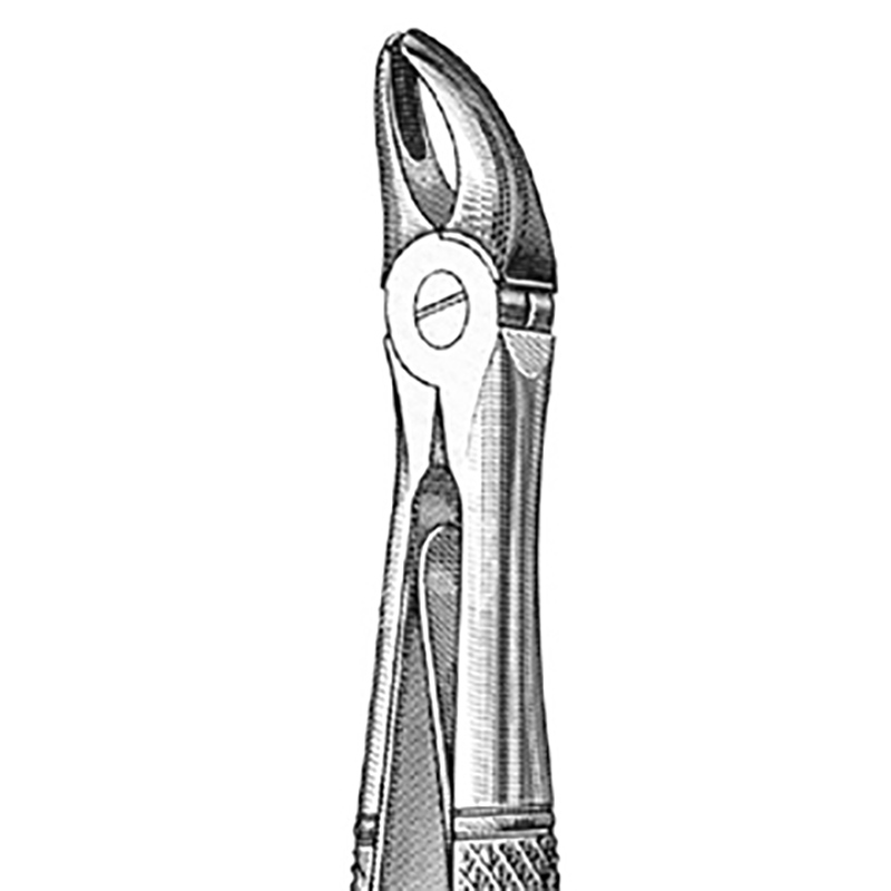 Veterinary Instruments