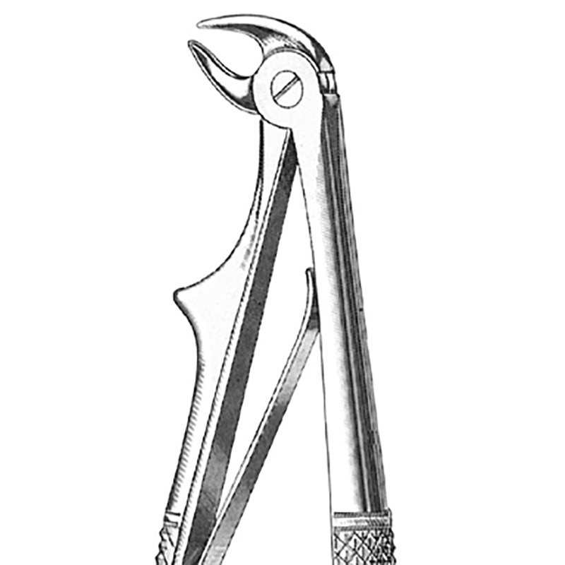 Veterinary Instruments