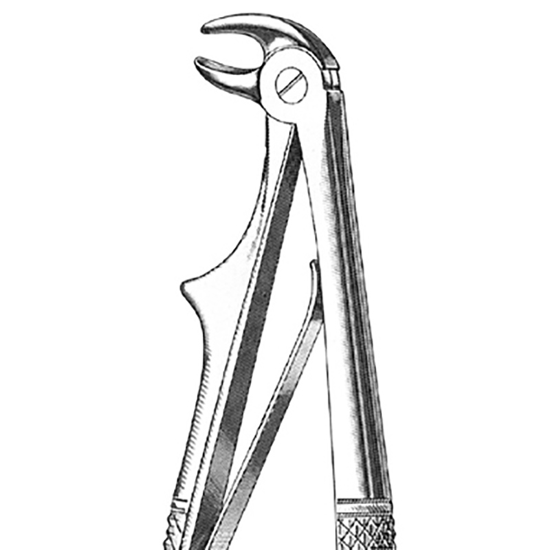 Veterinary Instruments