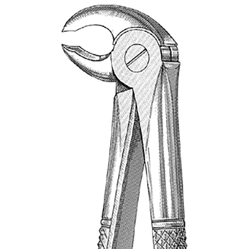 Veterinary Instruments