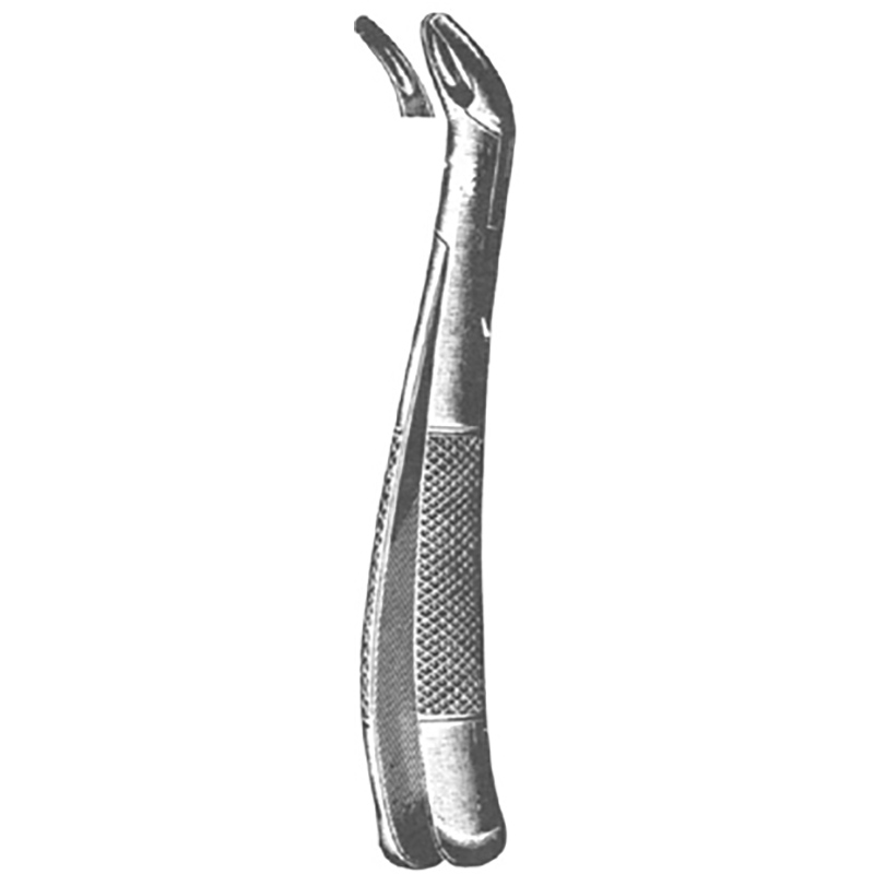 Veterinary Instruments