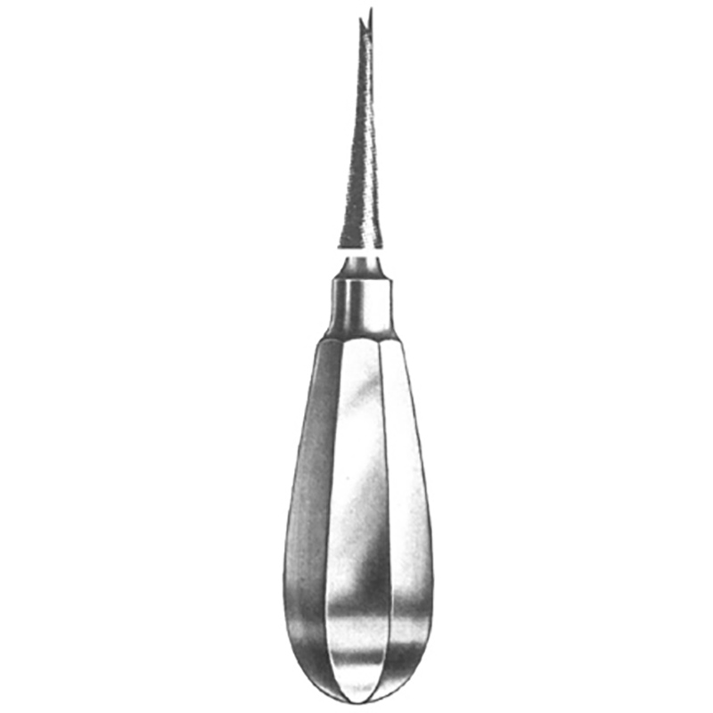 Veterinary Instruments