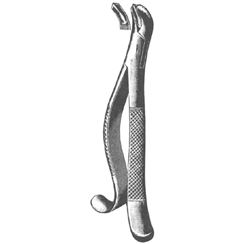 Veterinary Instruments