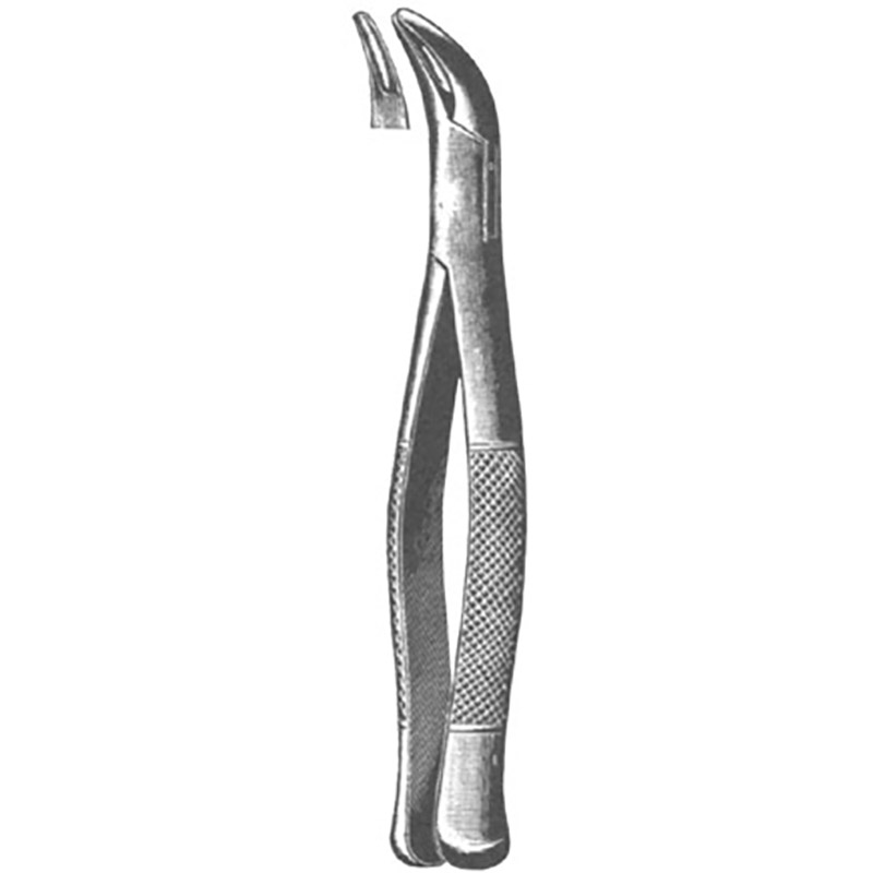 Veterinary Instruments