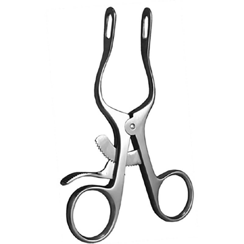 Veterinary Instruments