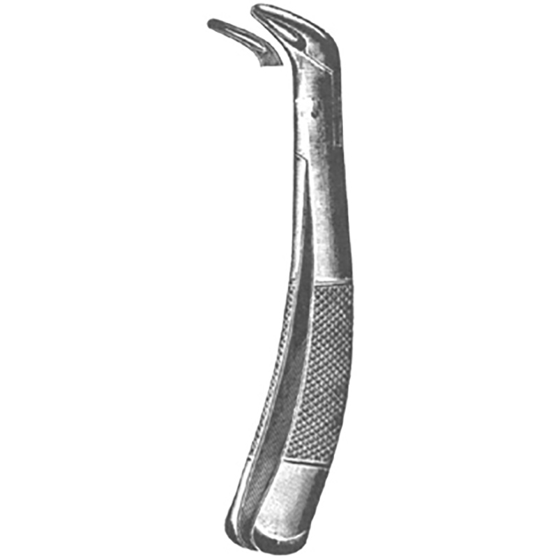 Veterinary Instruments