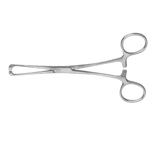 Steinmann Tendon Holding Forcep 