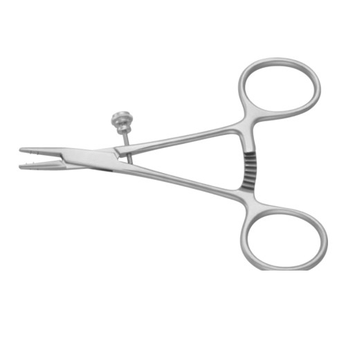 Steinmann Tendon Holding Forcep 