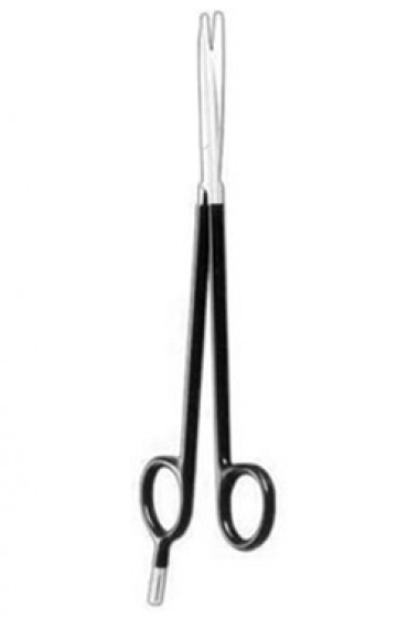  ESU Pencils and Scissors