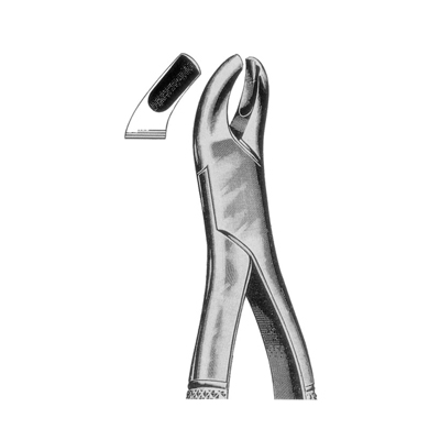 Extracting Forceps