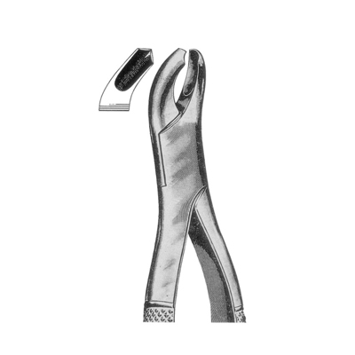 Extracting Forceps