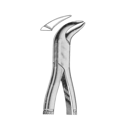 Extracting Forceps