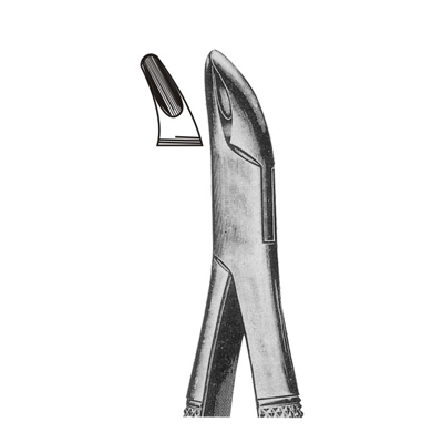 Extracting Forceps