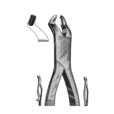 Extracting Forceps