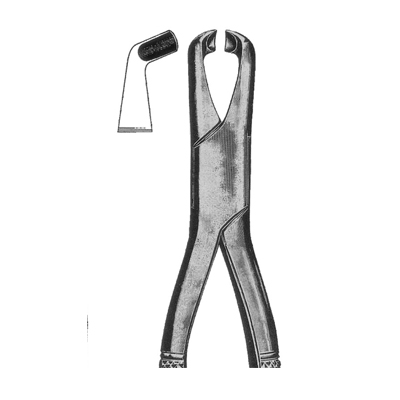 Extracting Forceps