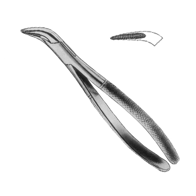 Extracting Forceps