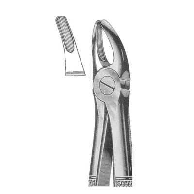 Extracting Forceps