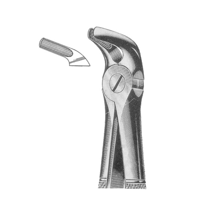 Extracting Forceps