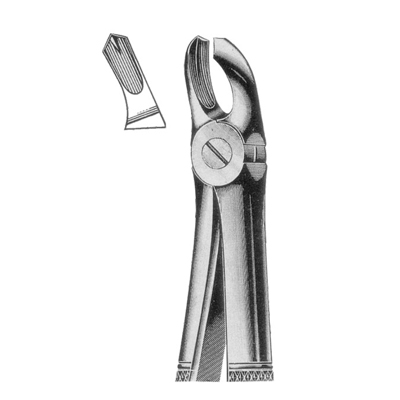 Extracting Forceps