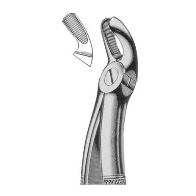 Extracting Forceps