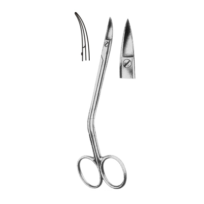 Surgical Scissors